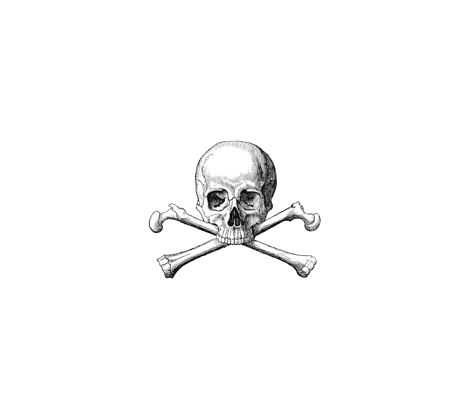skull and crossbones